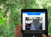 Zoo Magic